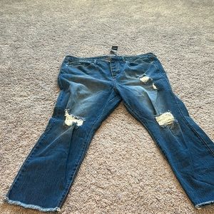 Brand new with tags- TORRID Jeans